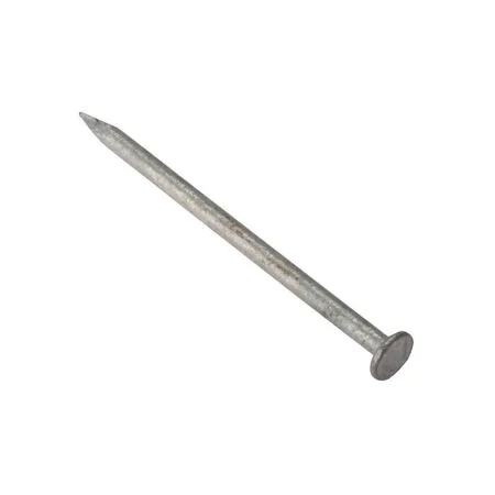 Forgefix Round Head Nail Galvanised 100mm Bag of 2.5kg FORRH100GB21